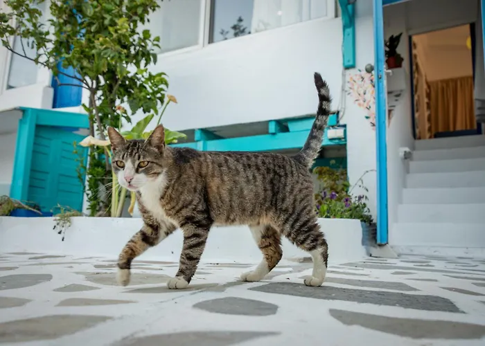 Apartamento Azuro Naxos *