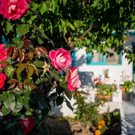 Azuro Apartments Naxos *