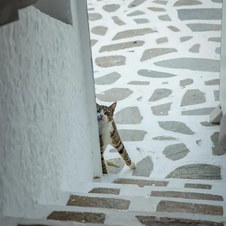 Διαμέρισμα Azuro Apartments Naxos