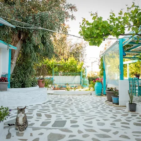 Azuro Naxos Naxos City